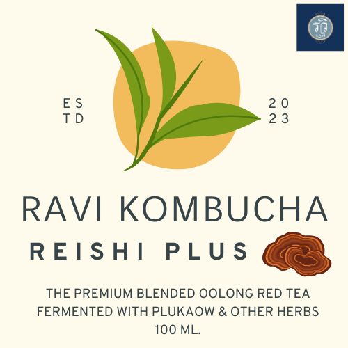 Ravi Kombucha Reishi plus 100 ml.